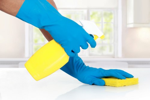 Professional carpet cleaning service in action