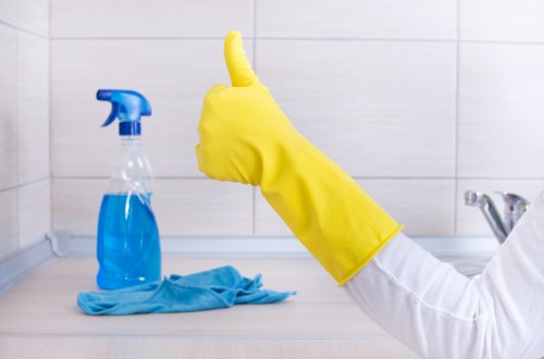 Eco-friendly cleaning solutions being applied to carpet