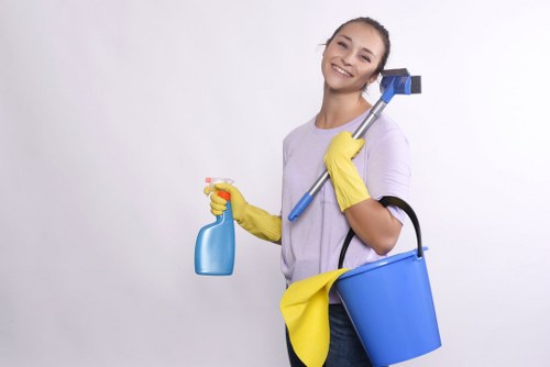 Eco-friendly carpet cleaning solutions