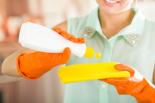 Specialized house clearance services