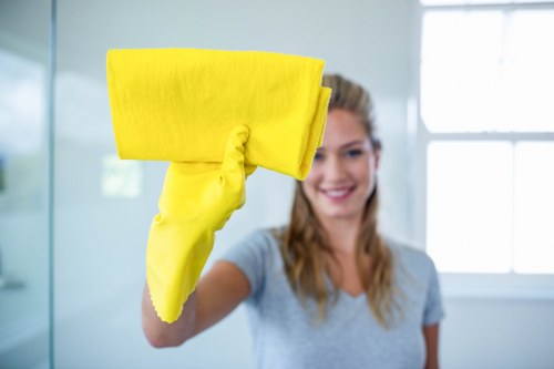 Team of Love Carpet Cleaning professionals at work
