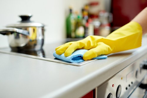Eco-friendly cleaning solutions used by Love Carpet Cleaning