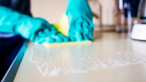 Benefits of professional oven cleaning services