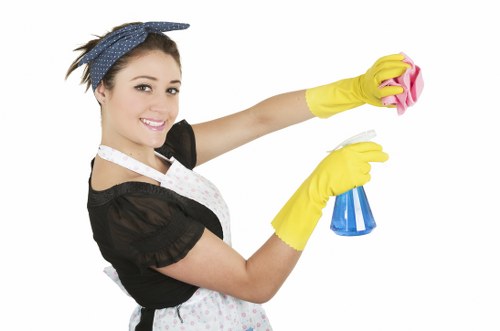 Professional cleaner from Love Carpet Cleaning using advanced equipment