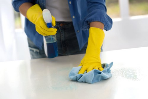 Deep cleaning process for carpets