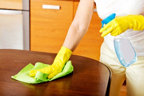Tools used in Love Carpet Cleaning services